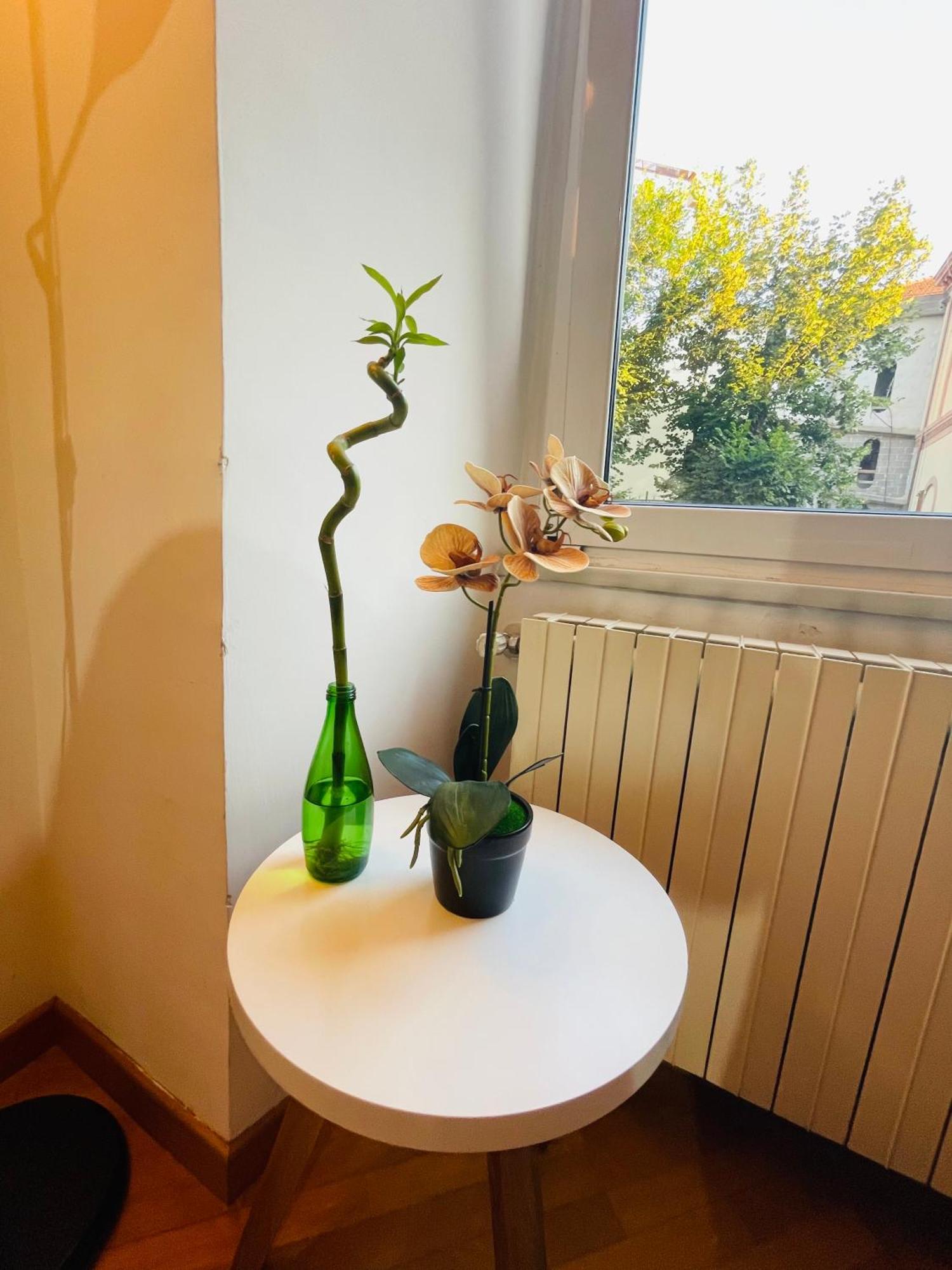 Holiday Colosseum Rome Bed & Breakfast Luaran gambar