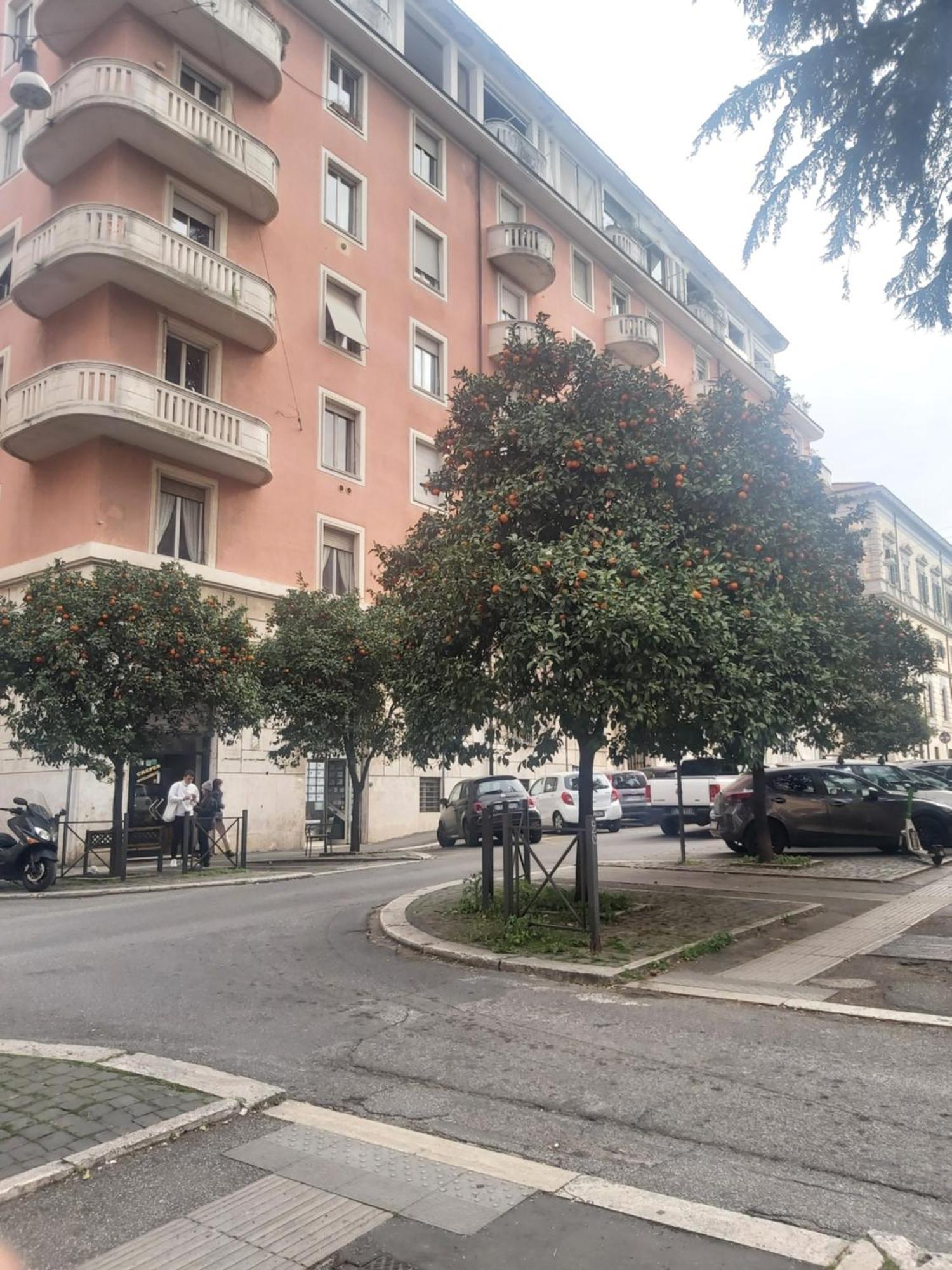 Holiday Colosseum Rome Bed & Breakfast Luaran gambar